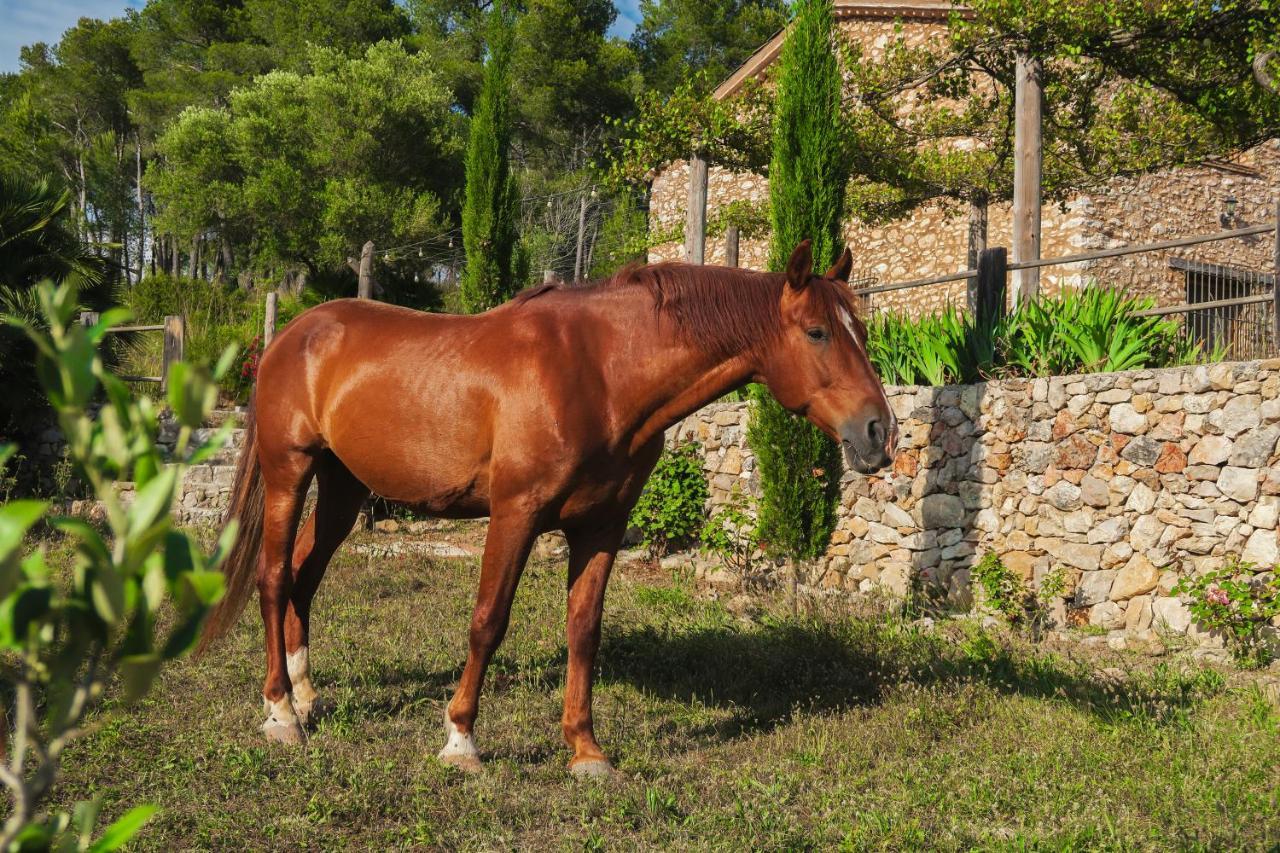 Masia Pou De La Vinya Sitges Exterior foto